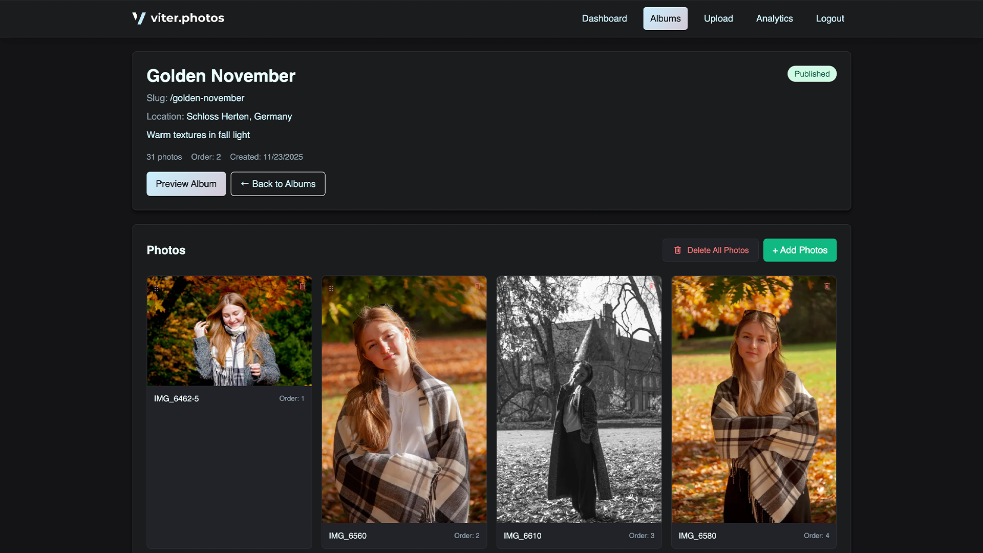 Multilingual Portfolio - Image 6